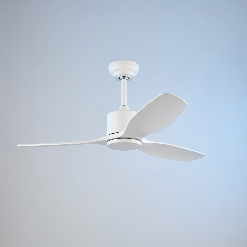 Fan Collection